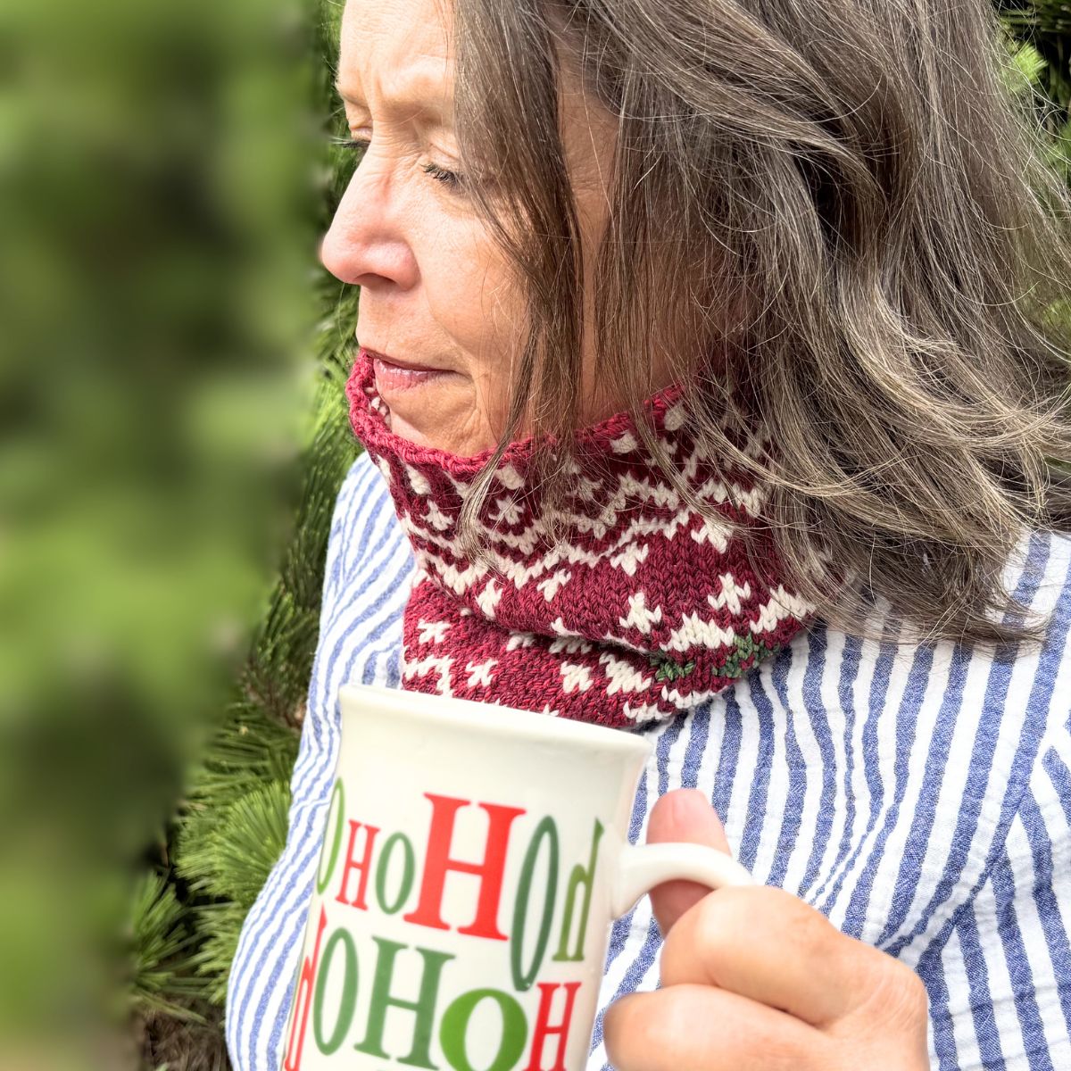 Winterberry Cowl Kit