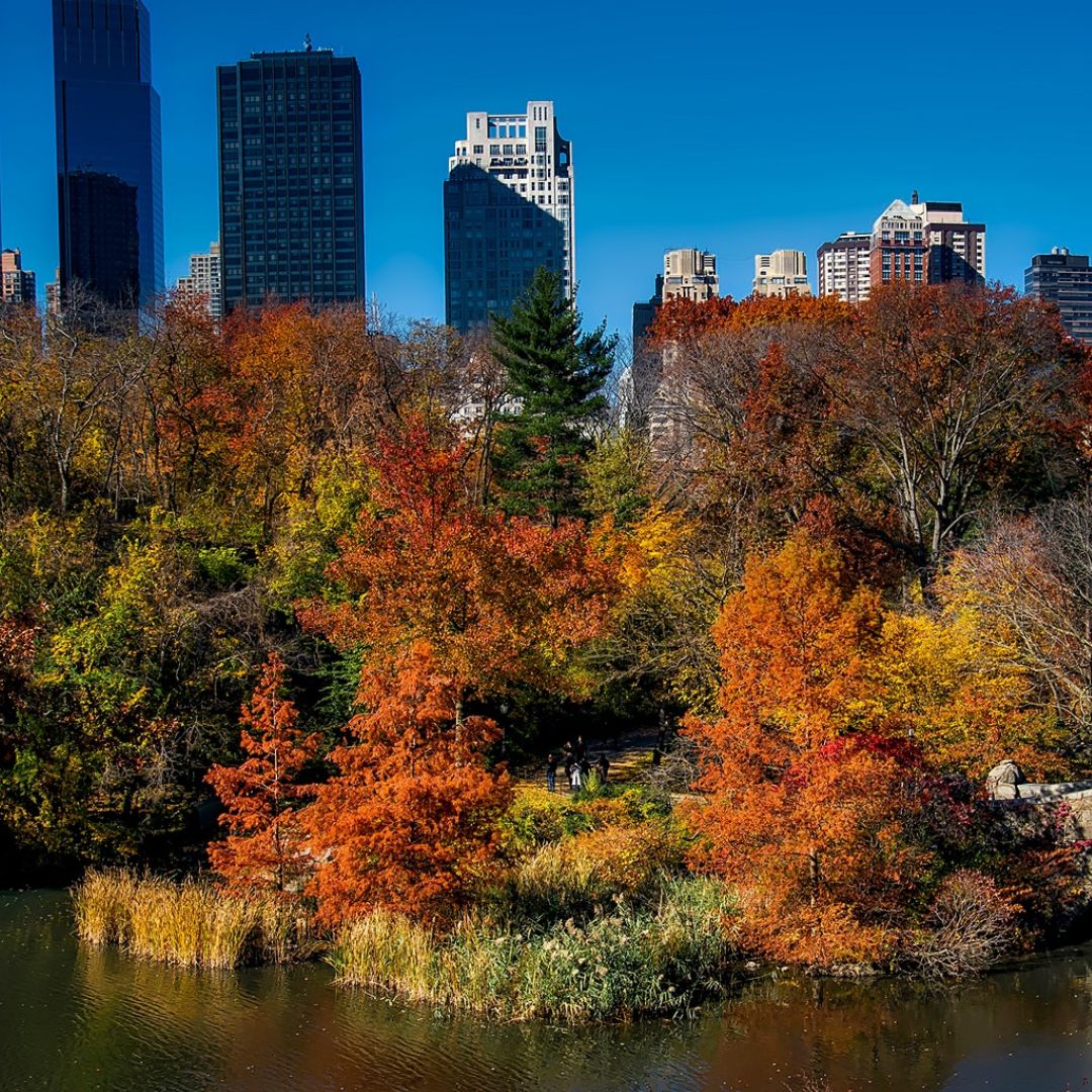 New York Beanie Yarn Knitting Kit - design by Nancy Bates
