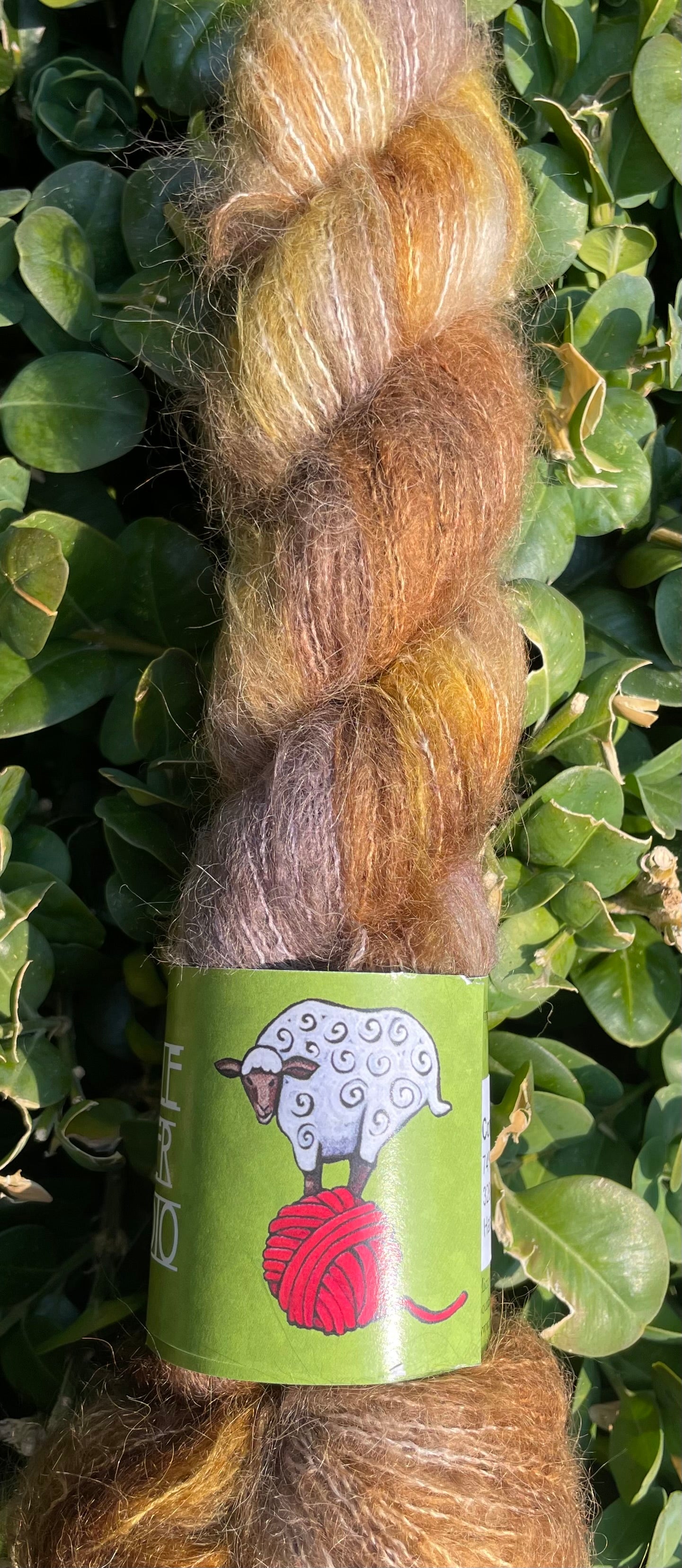 Apple Fiber Studio Cortland - Suri and Silk