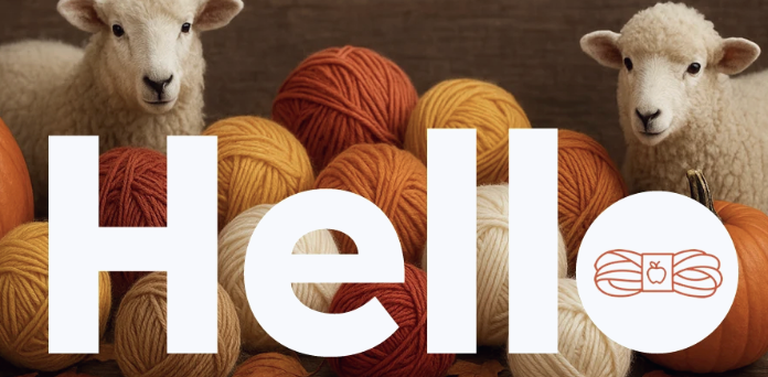 Colorful hand-dyed yarn skeins for knitting and crochet projects at Apple Yarns