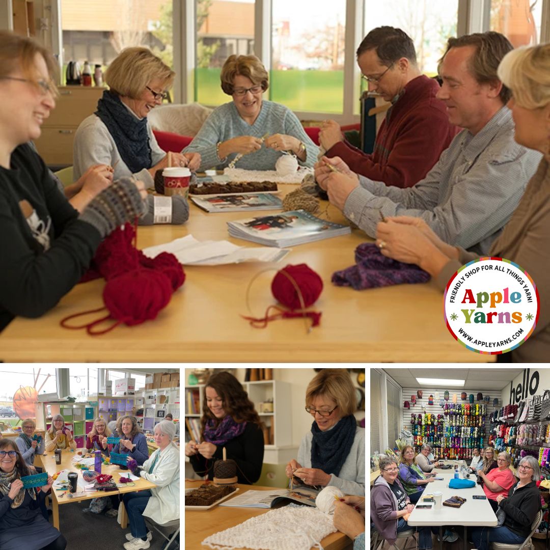Apple Yarns Class - Beginning Knitting