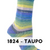1824 Taupo