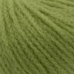 3102 Celery