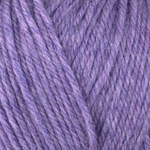 x 33165 Wisteria