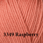 3349 Raspberry