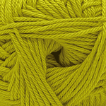 34 Warm Olive