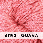 x61193 Guava