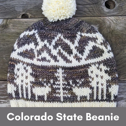 Colorado State Beanie Yarn Knitting Kit  - Nancy Bates Design