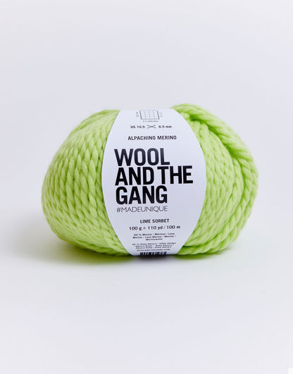 Alpachino Merino, Green ball of yarn with 'Wool and the Gang' label on a white background