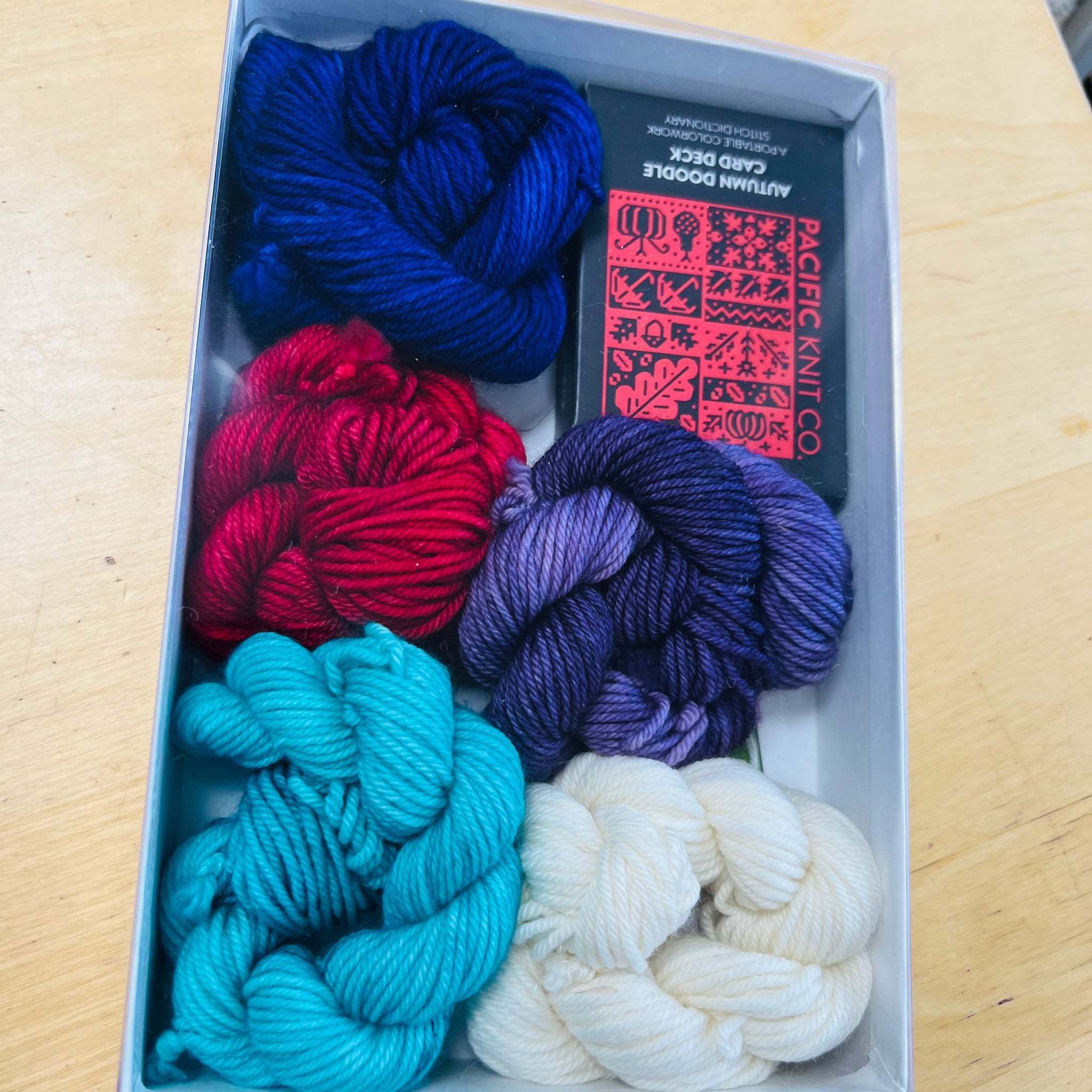 Basic Doodle Pack with 5 Hand-Dyed Skeins of Yarn - Sold Out