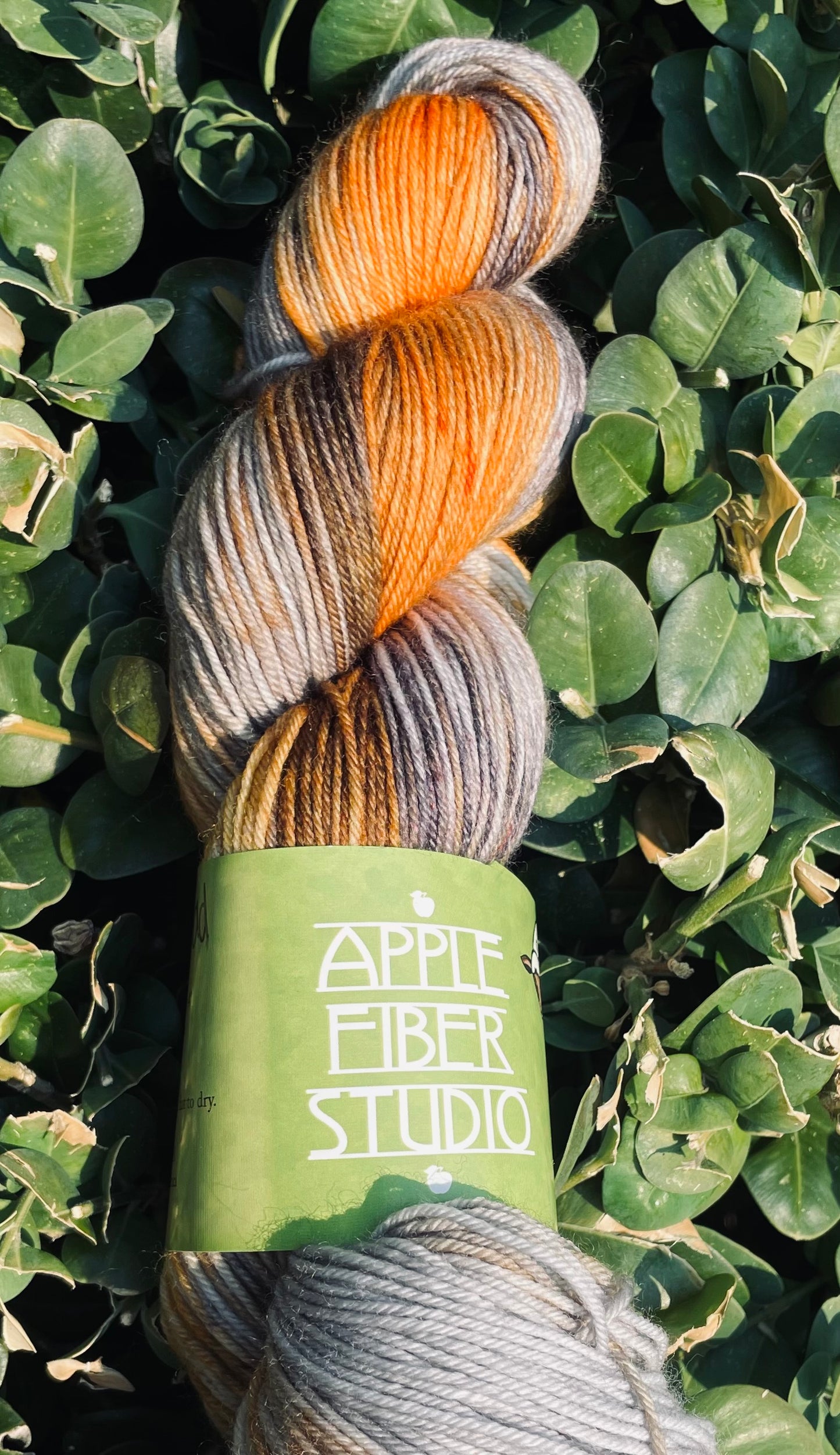 Apple Fiber Studio  - Gala (Limited Edition Colors)