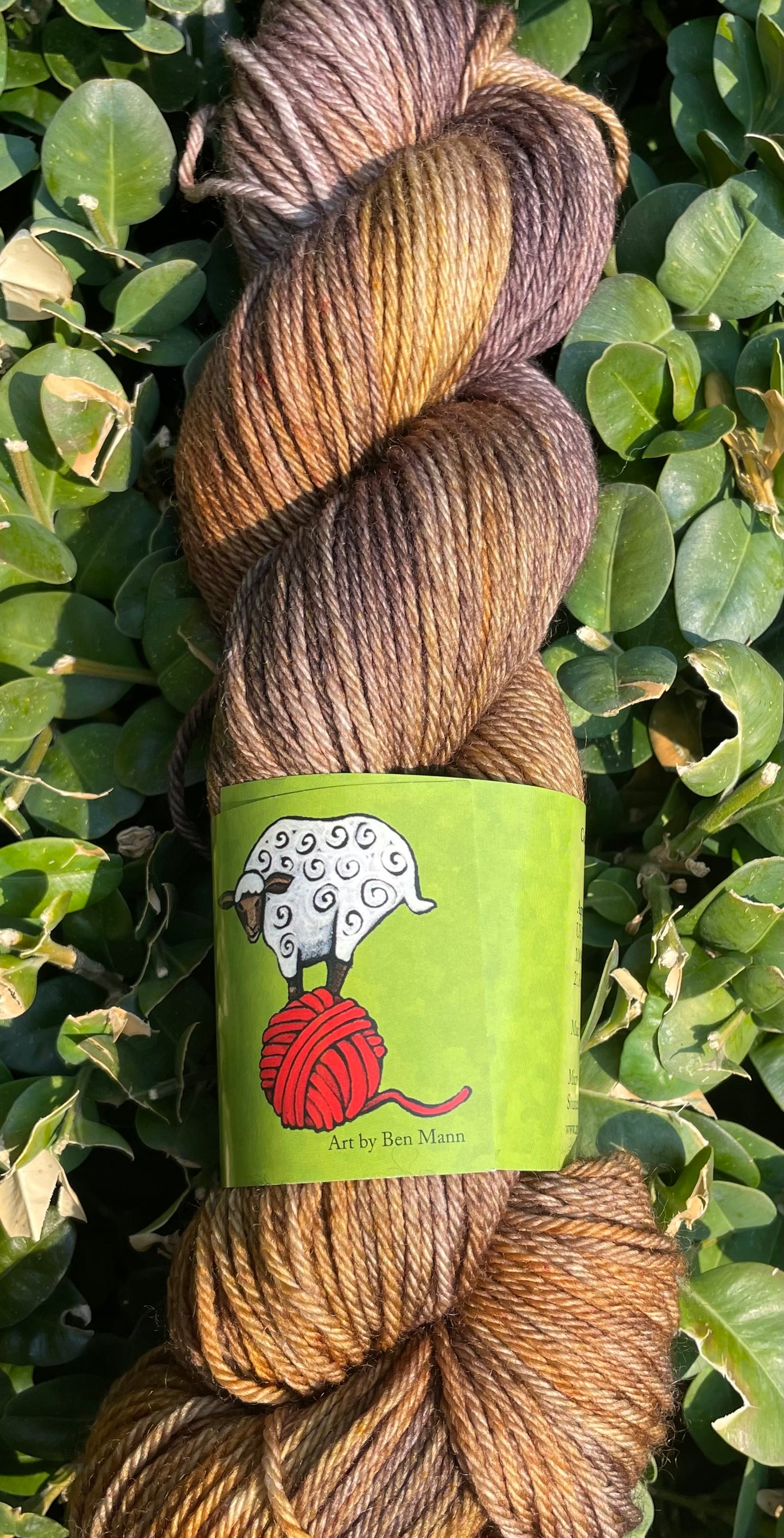 Apple Fiber Studio Apple Crisp