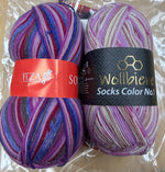 C - Sock Bundle with 2 Pocket Notions Bag