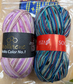 D - Sock Bundle with 2 Pocket Notions Bag