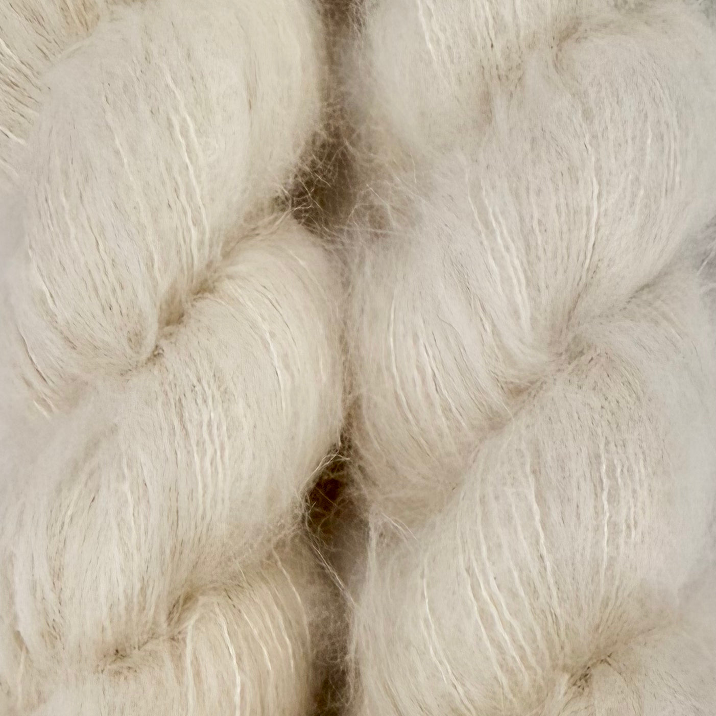 Apple Fiber Studio Cortland - Suri and Silk