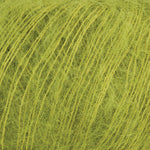 16 Lichen