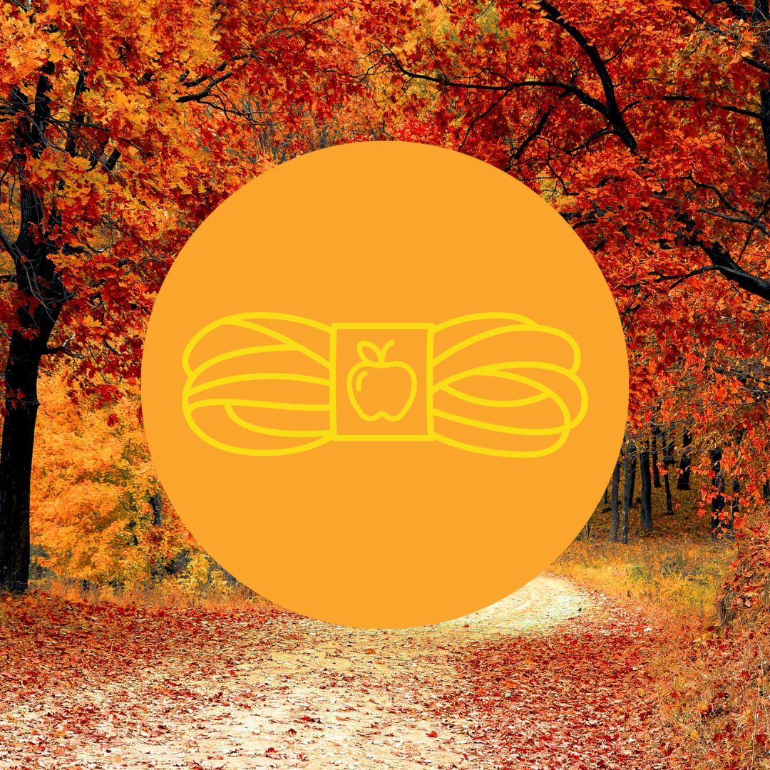 Fall 🧶 Winter 2025