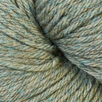 51175 Okra