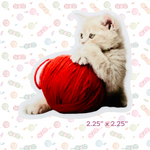 Kitten and Yarn