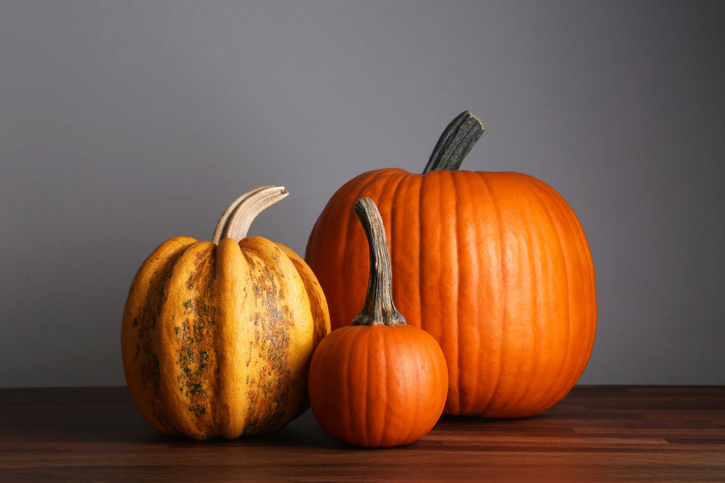 apple-yarns-knit-pumpkin-class