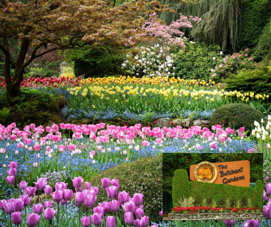 Fiber Friends in Bloom Retreat in Victoria, BC