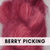 Berry Picking