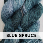 Blue Spruce