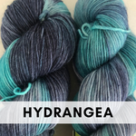 Hydrangea