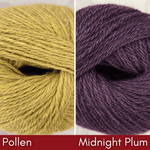 Midnight Plum/Pollen