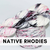 Native Rhodies
