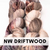 NW Driftwood