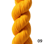 09