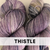 Thistle