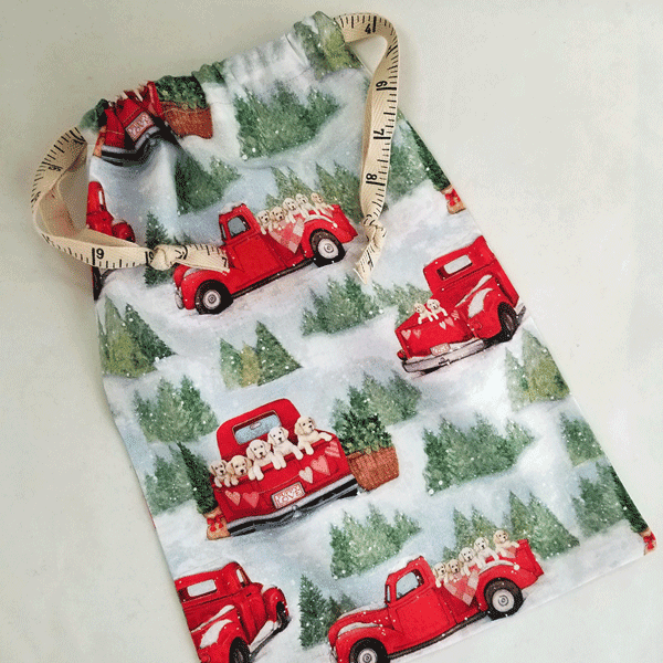 Ruler Ribbon Project Bag - Apple Yarns