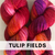 Tulip Fields