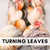 Turning Leaves
