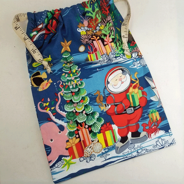 Ruler Ribbon Project Bag - Apple Yarns