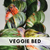 Veggie Bed