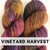 Vineyard Harvest