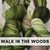 Walk in the Woods