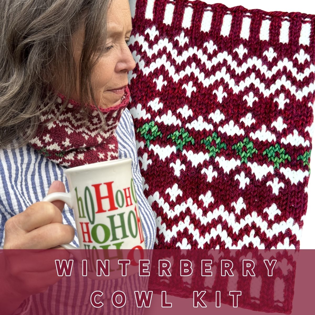 Winterberry Cowl Kit
