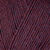 12072 Dried Plum