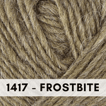1417 Frostbite