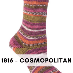 Berroco Comfort Sock self striping yarn is a nylon, acrylic blend, sock weight that makes beautiful super wash socks, Cosmopolitan 1816
