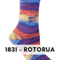Berroco Comfort Sock self striping yarn is a nylon, acrylic blend, sock weight that makes beautiful super wash socks, Rotorua 1831