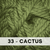 33 Cactus
