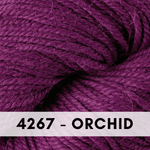 x 4267 Orchid