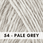 54 Pale Gray