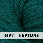 6197 Neptune