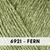 6921 Fern